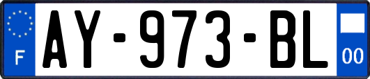 AY-973-BL