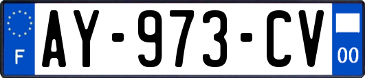 AY-973-CV