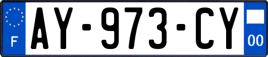 AY-973-CY