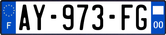AY-973-FG