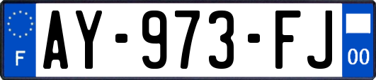 AY-973-FJ
