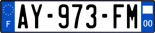 AY-973-FM