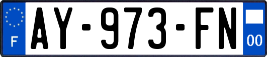 AY-973-FN