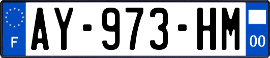 AY-973-HM