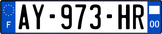 AY-973-HR
