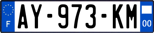 AY-973-KM