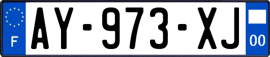 AY-973-XJ