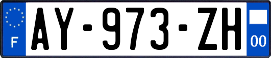 AY-973-ZH