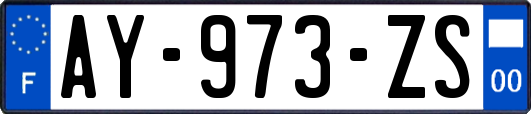 AY-973-ZS
