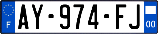 AY-974-FJ