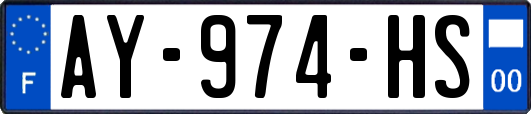 AY-974-HS