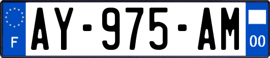 AY-975-AM