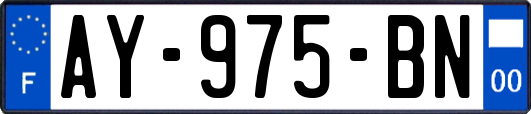 AY-975-BN