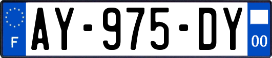 AY-975-DY