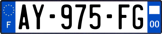AY-975-FG
