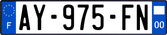 AY-975-FN
