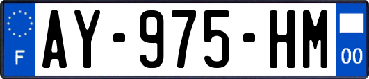 AY-975-HM