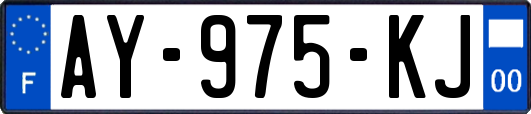 AY-975-KJ