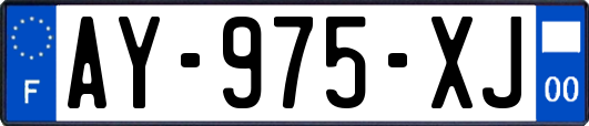 AY-975-XJ