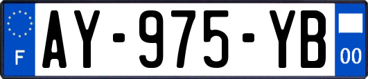 AY-975-YB
