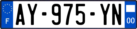 AY-975-YN