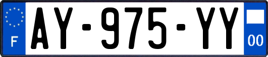 AY-975-YY