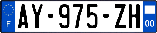 AY-975-ZH