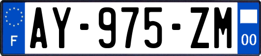 AY-975-ZM