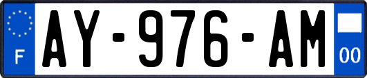 AY-976-AM