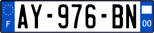 AY-976-BN