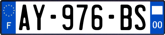 AY-976-BS