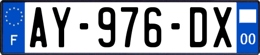 AY-976-DX