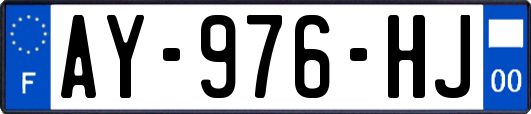 AY-976-HJ