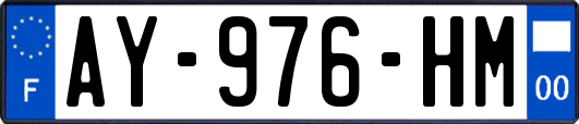 AY-976-HM