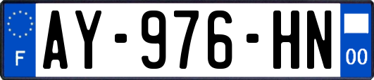 AY-976-HN
