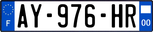 AY-976-HR