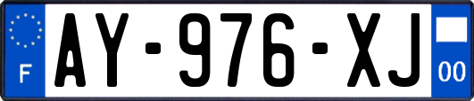 AY-976-XJ