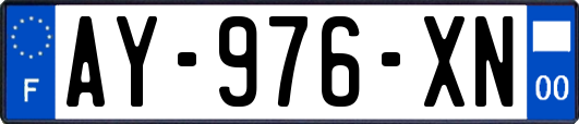 AY-976-XN
