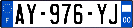 AY-976-YJ