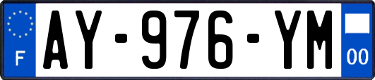 AY-976-YM