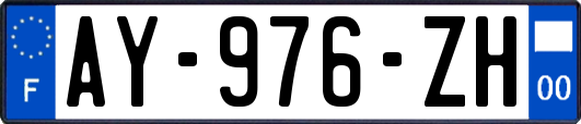 AY-976-ZH