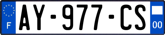 AY-977-CS