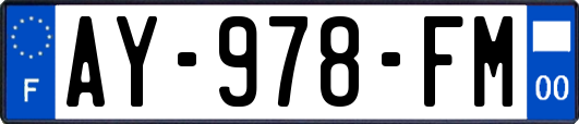 AY-978-FM