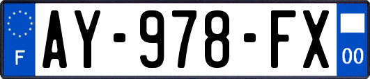 AY-978-FX