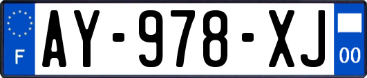 AY-978-XJ
