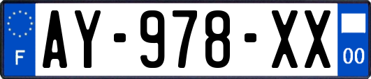 AY-978-XX