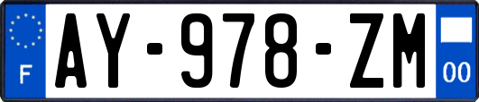 AY-978-ZM