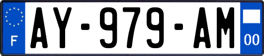AY-979-AM