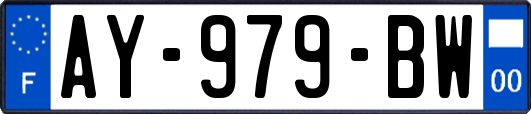 AY-979-BW