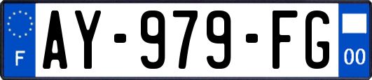 AY-979-FG